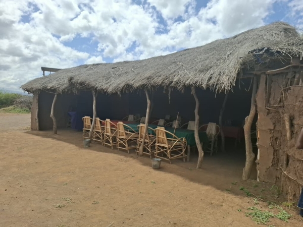 3-Day Tanzania Wildlife Safari-Tarangire, Lake Manyara and Ngorongoro Crater