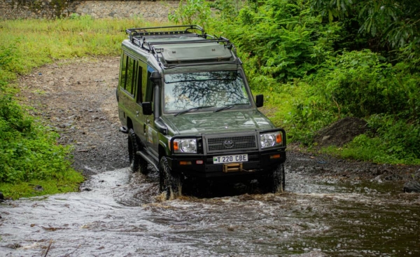 Great Migration Witness