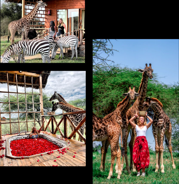 Serval wildlife Day Trip