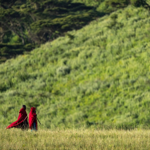 12 Nights | Have Your Cake and Eat It