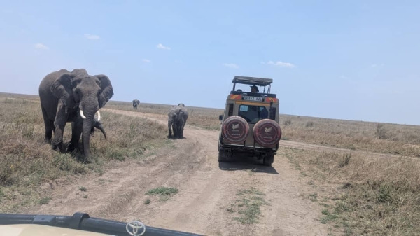 3 Days / 2 Nights Tarangire & Ngorongoro Safari – From/To Arusha