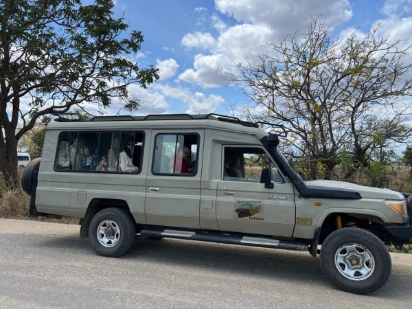 Day Trip To Mikumi National Park By Road