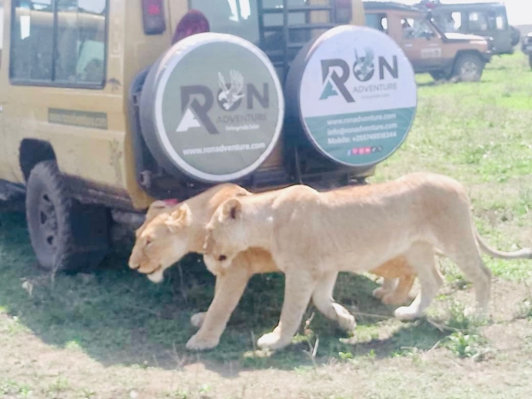 Ngorongor crater Day Trip