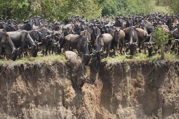 8 Days Tanzania Photographic Safari