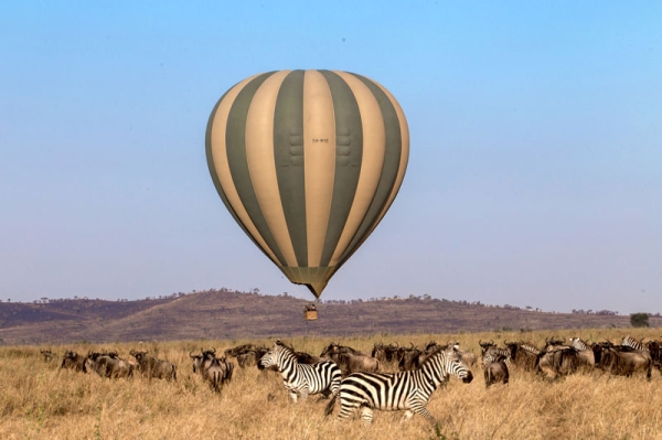 5 Days All-Serengeti Tented Camps & Lodge Safari