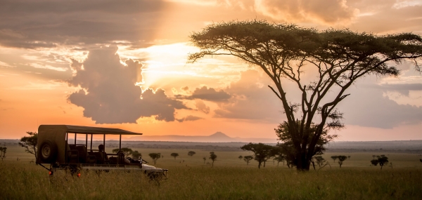 Safari Big Five Tanzania