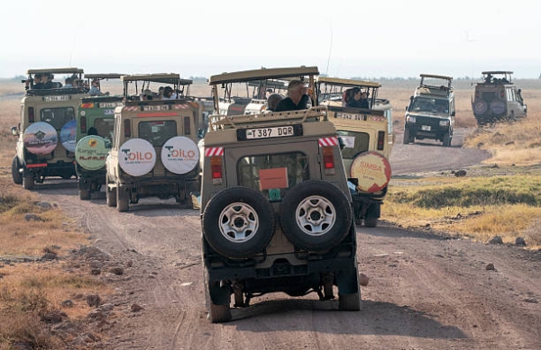 Day Trip to Ngorongoro Crater: One-Day Big Five Safari from Arusha