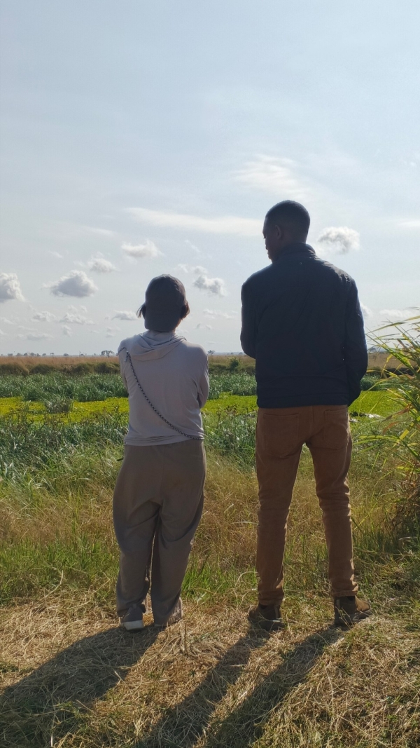 2 DAY IN MIKUMI NATIONAL PARK