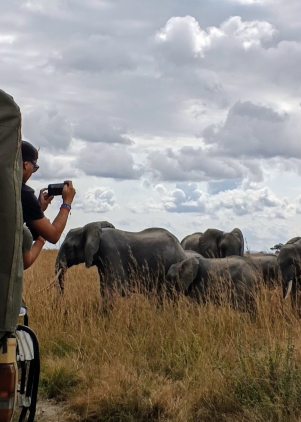 2 DAY LUXURY SAFARI IN NYERERE NATIONAL PARK.
