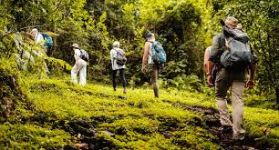 LUXURY 2-DAY ARUSHA NATIONAL PARK SAFARI – Exclusive Walking Safari & Private Game Drives