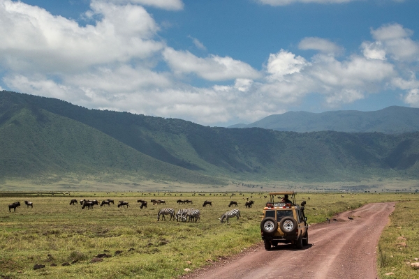 2-Day Tarangire and Ngorongoro Fly in from Zanzibar