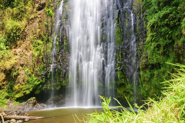 7-Day Materuni Waterfalls Tanzania Safari Experience