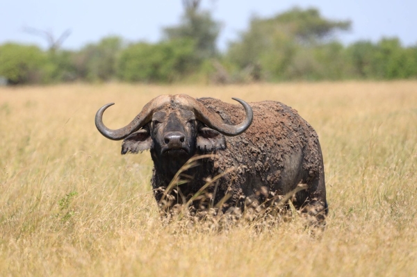 3-Day Cultural Tour (Manyara, Eyasi & Ngorongoro Crater)