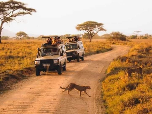 Unforgettable Tanzania