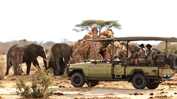 Nyerere National Park (Selous Game Reserve)