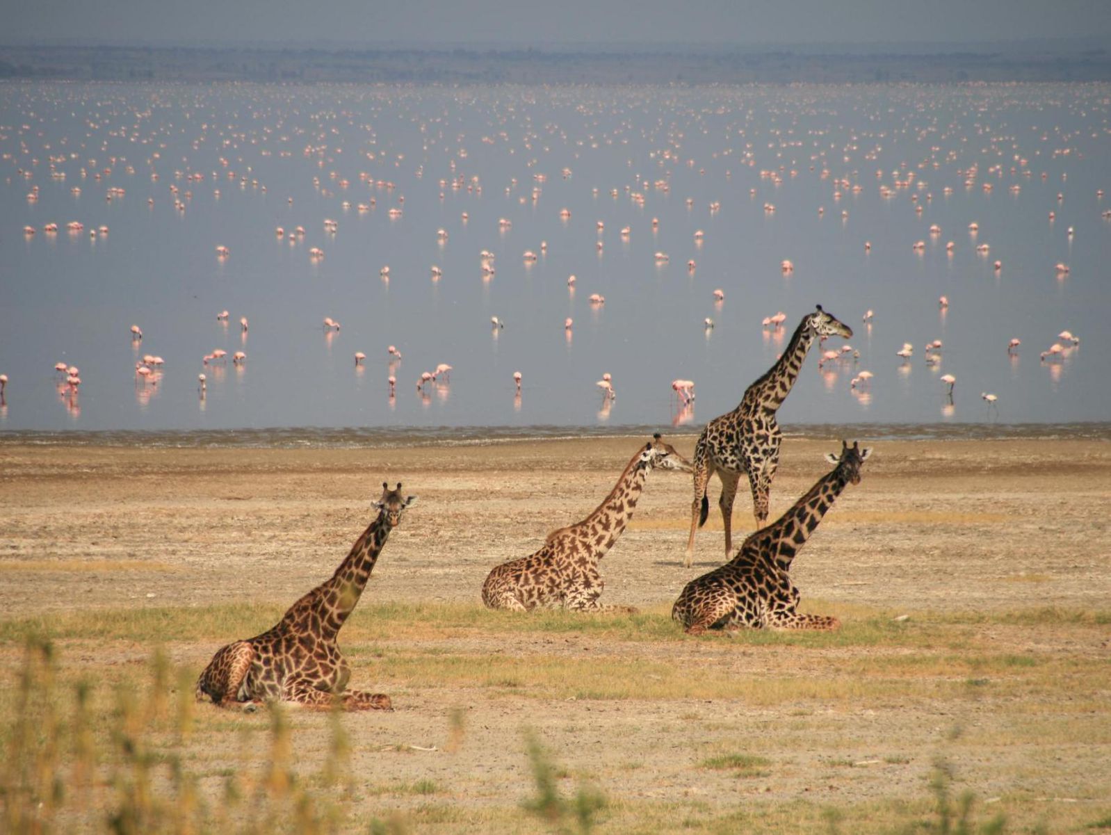 Discover Tanzania: A Safe Haven for Adventurers - Ranked as the Safest Country in Africa