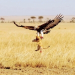 Unique Things to Do in Tanzania