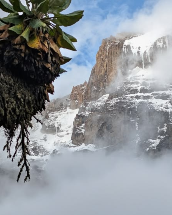 Machame Adventure Summit – 6 Days Kilimanjaro Trek