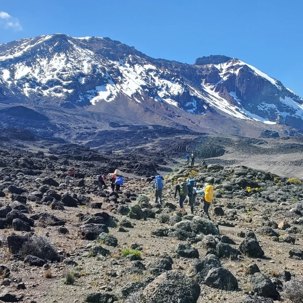 The Ultimate Lemosho Challenge – 7 Days to Uhuru Peak