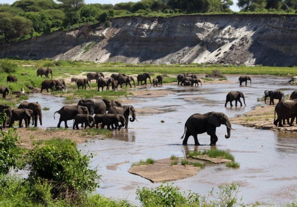 3-Day Tarangire & Ngorongoro Explorer​