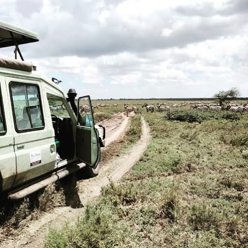 SERENGETI EXPEDITION