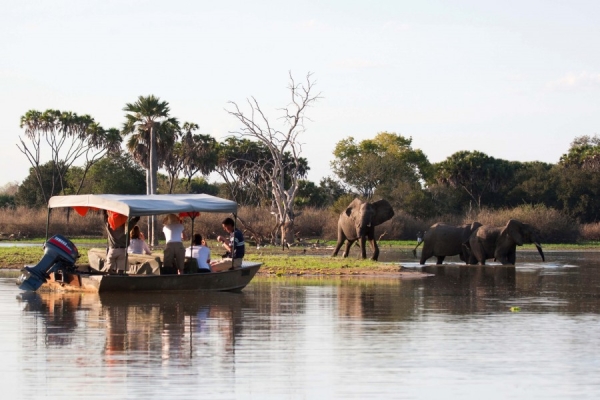 NYERERE NATIONAL PARK TOUR