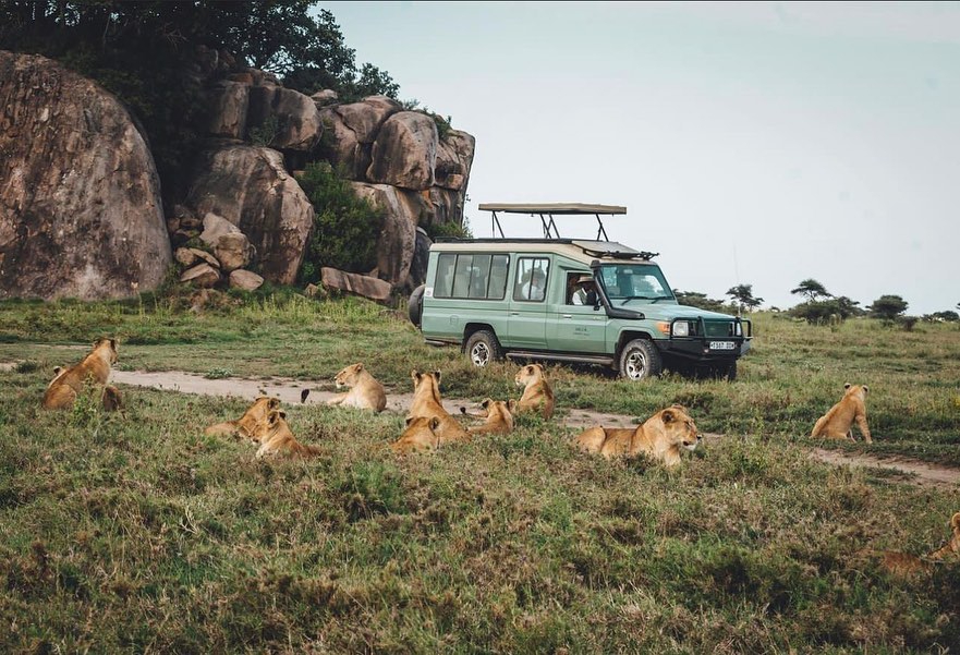 Safari in Tanzania &ndash; Complete 2025 Guide