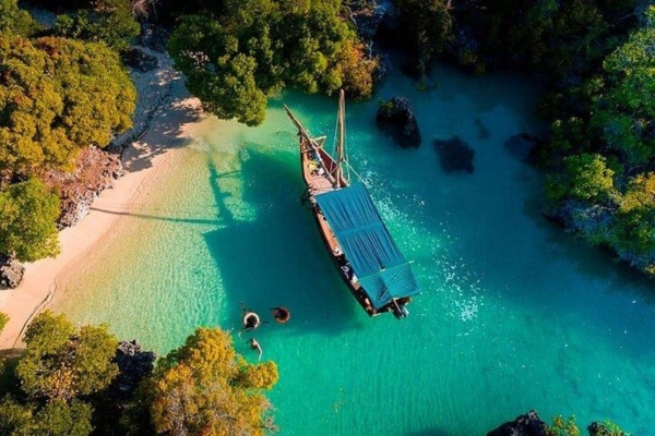 Safariblue full-day trip