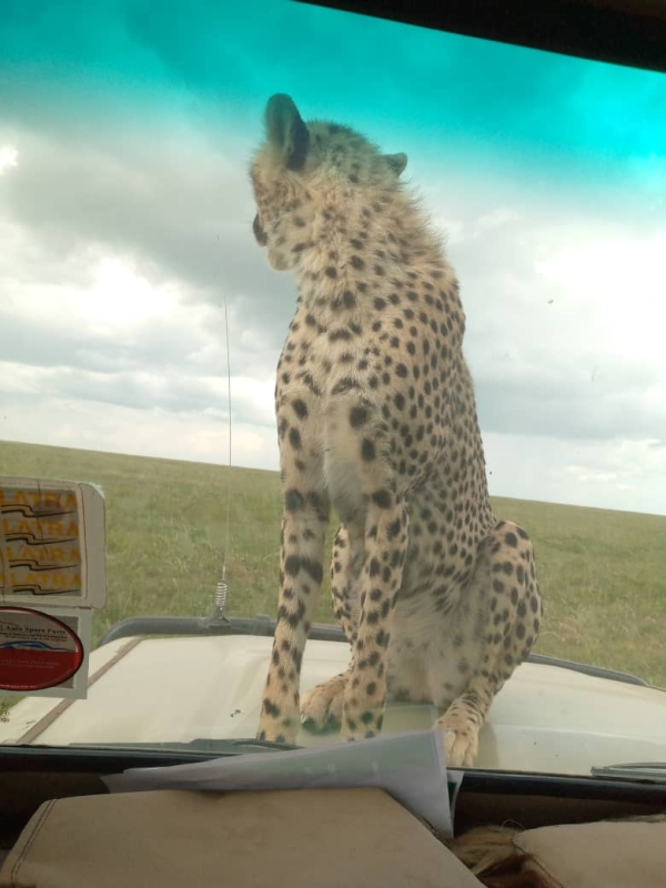 5 Days - Adventure Wilderness