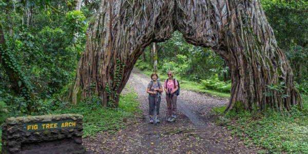 1 Day Private Arusha National Park Safari