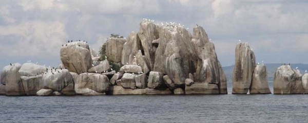 Saa Nane National Park One-Day Tour & Overnight Stay – Mwanza