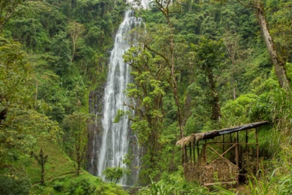 Materuni Waterfalls & Coffee Tour (day-trip)
