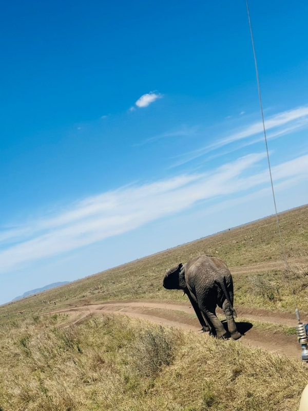 4-Day Northern Tanzania Safari