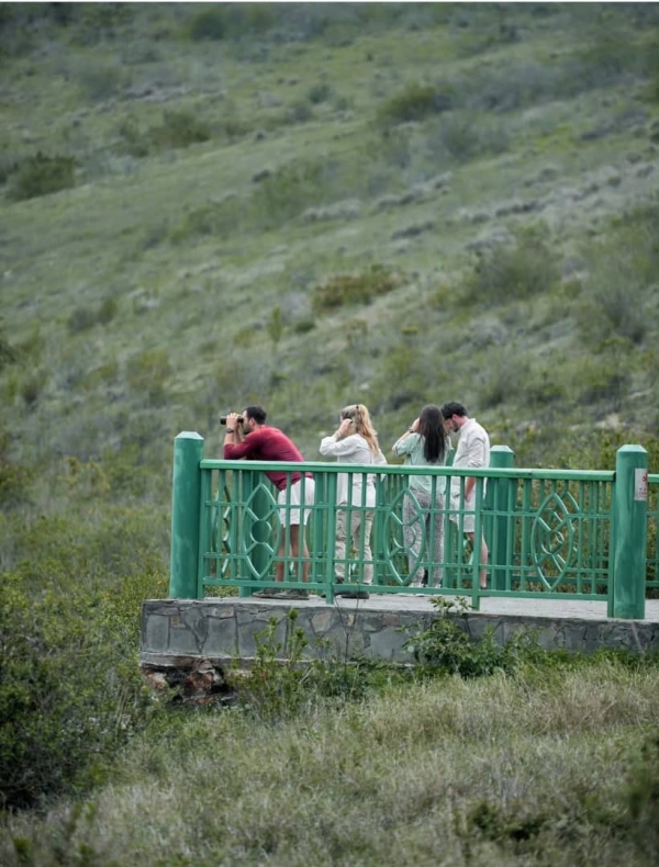 2 Days Ndutu & Ngorongoro Crater Safari (Residents Only)