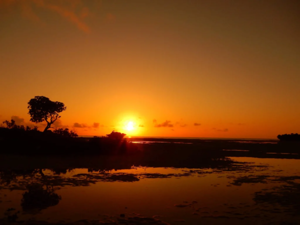 Popular Travel Routes in Tanzania