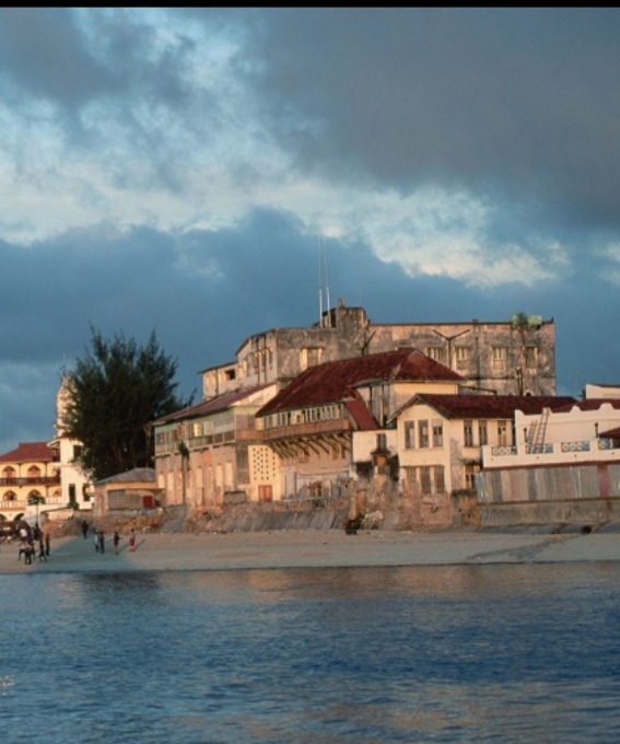 Prison Island Escape – Modern Zanzibar Half-Day Experience