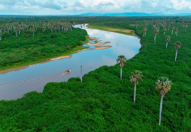 Nyerere National Park