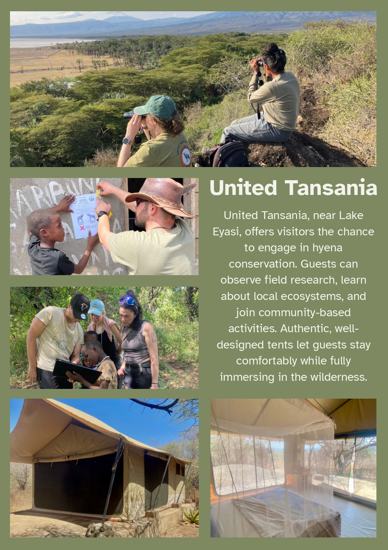 Charity Safari Auction in Tanzania Supports Hyena Conservation