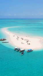 JOZANI FOREST RESERVE