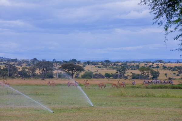 Serengeti Golf Course Emerges as New Frontier for Sports Tourism in Tanzania