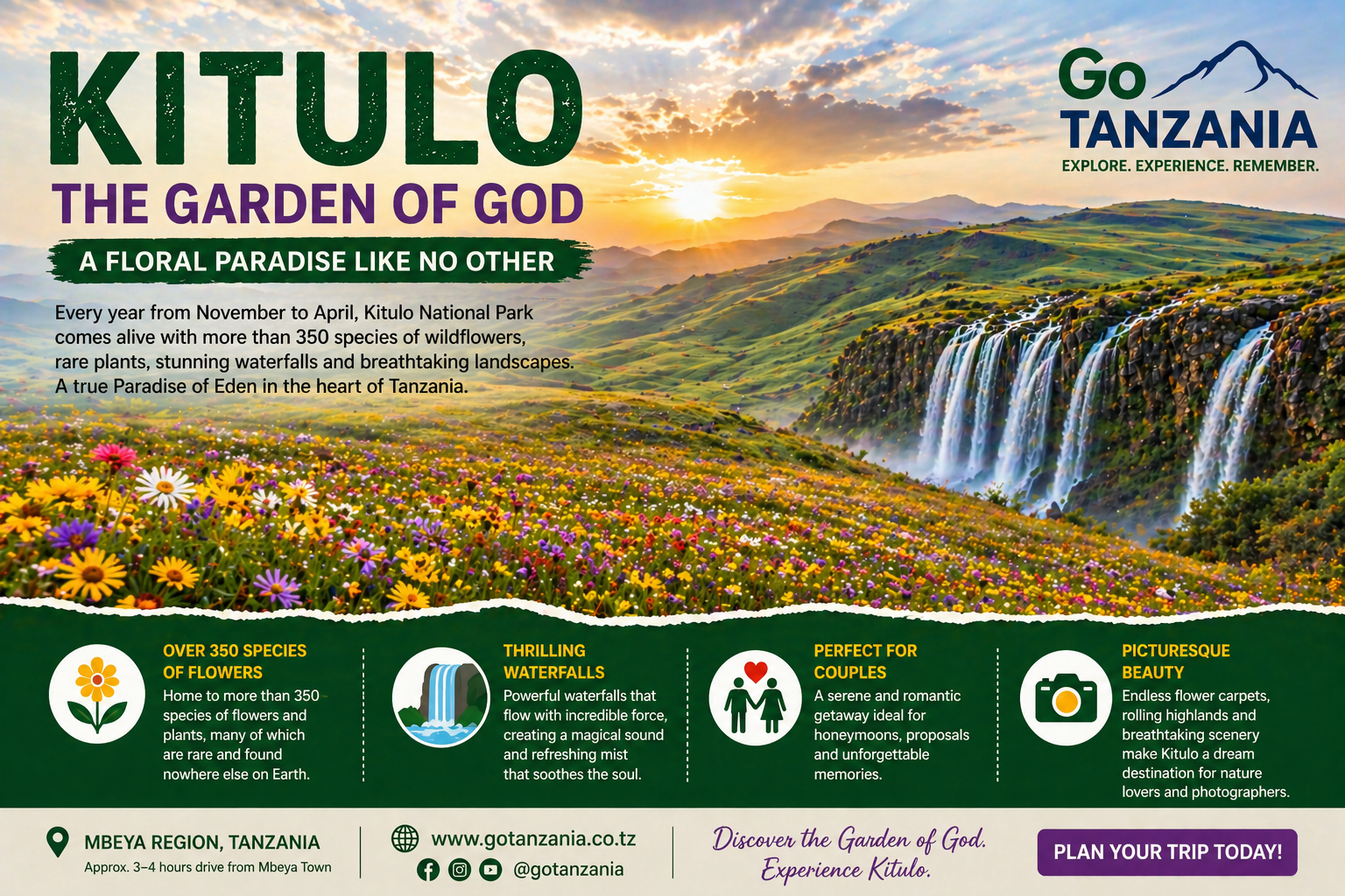 Why Tanzania’s Kitulo National Park Is Called the “Garden of God”