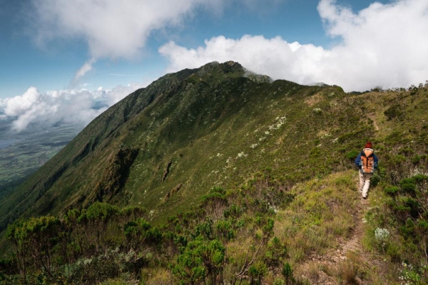 TFS restores the natural heat of Mount Hanang in Manyara Province as the number of tourists visiting Mount Hanang increases.