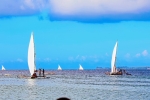 Chwaka Traditional Sailing Race Showcases Zanzibar’s Growing Sports Tourism Potential
