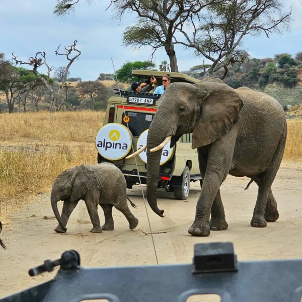 TANZANIA’S MANDATORY TRAVEL INSURANCE REQUIREMENT TAKES EFFECT FOR FOREIGN VISITORS