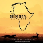 RIBRIS SAFARIS