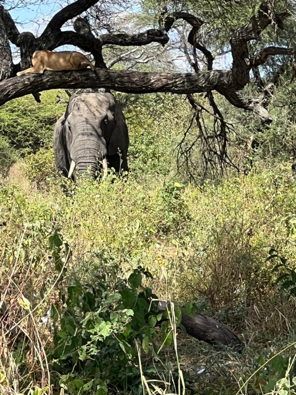 3 days Exquisite Wilderness