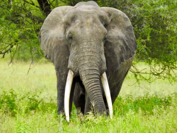 8 days from wild to Torques ocean